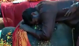 Clip: Người quản tượng khóc thảm thiết bên xác con voi già gây xúc động mạnh