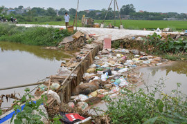 Phó Thủ tướng yêu cầu kiểm tra thông tin lợn chết thả trôi sông, vài tiếng vớt được cả tấn