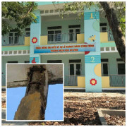 Nghịch lý ở đảo Lý Sơn: Trường cấp 3 chờ sập, trường mầm non xây xong lại 'đắp chiếu'