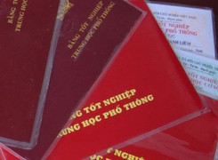 Sau đợt kiểm tra bằng cấp, 2 lãnh đạo xã ở Ninh Thuận xin nghỉ việc