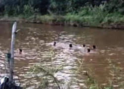 Rủ nhau ra sông tắm, 4 học sinh chết đuối thương tâm
