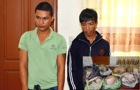 Vận chuyển trái phép động vật hoang dã quý hiếm, 2 người bị bắt giữ ở Nghệ An