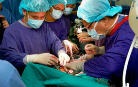 Cha hiến tạng con trai 26 tuổi chết não cứu sống 4 người