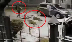 Clip: Thấy chủ bị tấn công, chó cưng 'xử đẹp' 2 tên cướp có súng