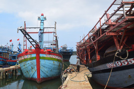 Sở NN-PTNT Quảng Nam: 'Lệnh cấm đánh bắt cá của Trung Quốc không có giá trị'