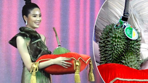 Video: Đại gia chi 1,1 tỷ đồng mua quả sầu riêng siêu hoàn hảo