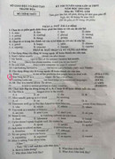 Sơn Tùng M-TP xuất hiện trong đề thi Tiếng Anh vào lớp 10 ở Thanh Hóa