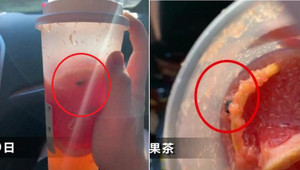 Khách phát hiện ruồi bơi trong trà sữa, cửa hàng lập tức bị đóng cửa