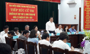 Chủ tịch Đà Nẵng thông tin kết luận thanh tra bán đảo Sơn Trà