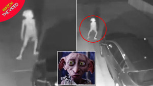 Clip: Sinh vật bí ẩn giống yêu tinh Dobby lọt vào camera giám sát trong đêm tối