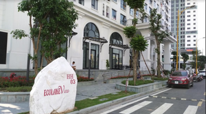 'Lùm xùm' tại dự án Eco Lakeview, Ecoland lên tiếng