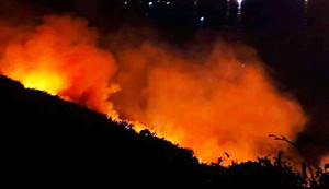 Hơn 200 cán bộ chiến sĩ Đà Nẵng khống chế vụ cháy rừng Sơn Trà trong đêm