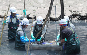 Công nghệ làm sạch sông Tô lịch có phải là 'chìa khóa vạn năng'?