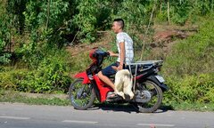 Dân xúm lại 'hôi vịt' trên xe tải bị lật ở Quảng Bình: Công an vào cuộc điều tra