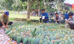 6 loại quả Việt chinh phục thị trường Mỹ khó tính