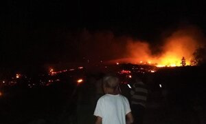 Cháy rừng ở Hà Tĩnh, gần 1ha thông đang cho khai thác bị thiêu rụi trong đêm