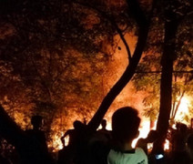 Hàng trăm người dập tắt đám cháy rừng thông trên núi Dũng Quyết, Nghệ An