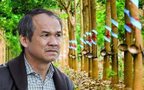 Trước khi bán cho tỷ phú Bá Dương, công ty cao su của bầu Đức quy mô thế nào?