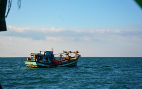 Hai tàu cá của ngư dân Bình Định gặp nạn giữa biển