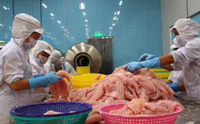 Hành trình 9 năm Việt Nam chinh phục Hiệp định EVFTA