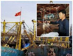 Trung Quốc thay đổi phương thức nhập khẩu, 930 tấn mực khô của ngư dân Quảng Nam không biết đi về đâu