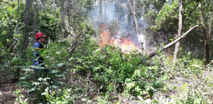 Cháy lớn suốt 5 tiếng đồng hồ, 3ha rừng ở Đà Nẵng bị thiêu rụi