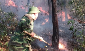 Cháy rừng trên diện rộng, Huế di dời khẩn cấp nhiều hộ dân