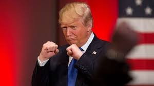 Tổng thống Trump dùng nắm đấm chào hỏi Thủ tướng Nhật Bản, Ấn Độ