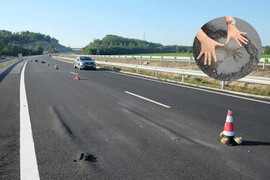 Cao tốc gần 35.000 tỷ đồng ‘dính’ hàng loạt hư hỏng sau chưa đầy 1 năm vận hành toàn tuyến