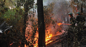 Cháy rừng liên tiếp xảy ra ở Huế: Do đạn nổ và nắng nóng?