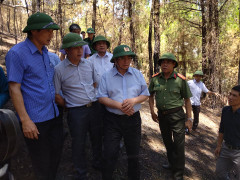 Trưởng Ban Tổ chức Trung ương Phạm Minh Chính thị sát khu vực cháy rừng ở Hà Tĩnh