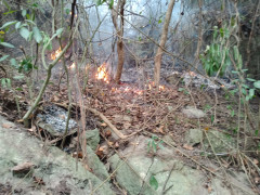 24 giờ chìm trong biển lửa, 25ha rừng ở Quảng Ngãi bị thiêu trụi