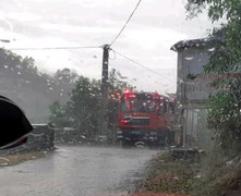 Sau chuỗi ngày nắng hạn, Nghệ An đón 'cơn mưa vàng' cứu nguy hàng ngàn héc ta rừng khỏi khô cháy