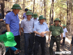 Lãnh đạo Hà Tĩnh chỉ đạo quyết liệt chữa cháy rừng và khắc phục hậu quả