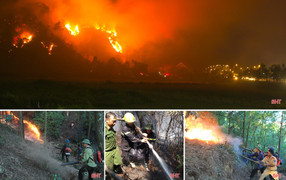 Toàn cảnh thảm hoạ cháy rừng ở Hà Tĩnh