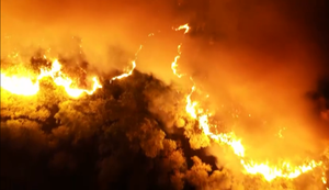 Cháy rừng lịch sử Hà Tĩnh: Đau đớn nhìn rừng thông gần 50 năm tuổi chìm trong biển lửa