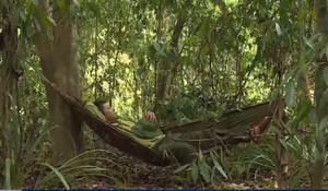 Hàng loạt nhân viên bảo vệ rừng ở Quảng Bình nộp đơn nghỉ việc, đâu là nguyên nhân?