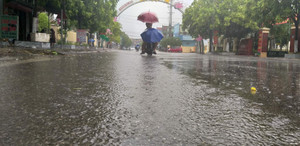 Dân Hà Tĩnh vui mừng đón những 'cơn mưa vàng' sau thảm họa cháy rừng