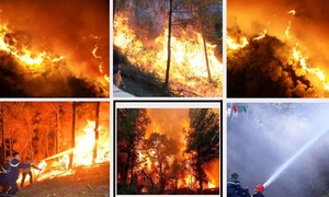 Nhìn lại những ngày Hà Tĩnh căng mình chống 'giặc lửa'