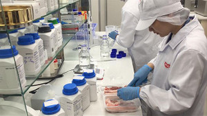 Việt Nam sản xuất thử nghiệm thành công vaccine phòng dịch tả lợn châu Phi