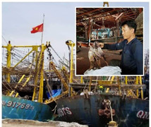 Trung Quốc thay đổi phương thức nhập khẩu mực khô: Quảng Nam cầu cứu các bộ, ngành
