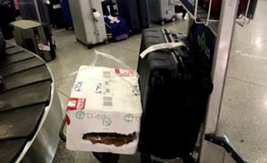 Trộm 1,5 cây vàng của nữ hành khách ở cửa soi hành lý sân bay Tân Sơn Nhất