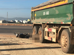 Xe tải cán chết 2 người tại Bình Định: Tài xế bỏ trốn khỏi hiện trường