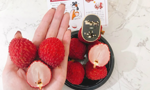 100.000 đồng/quả, vải Nhật không hạt có gì đặc biệt?