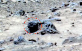 Ảnh của NASA vô tình làm lộ mặt người ngoài hành tinh?