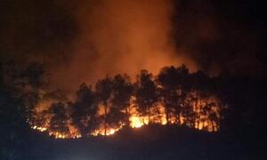 Hơn 500 người thức trắng đêm dập tắt đám cháy rừng trên núi Nầm, Hà Tĩnh