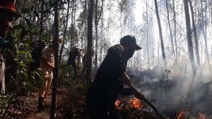 Cháy rừng nghi ngút, xuất hiện nhiều tiếng nổ vang trời ở Bình Định