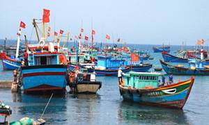 Video: Những quy định tối thiểu mà mỗi chủ tàu và ngư dân cần ghi nhớ khi ra khơi