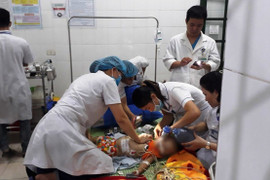 Đang chơi ngoài cổng, bé gái 22 tháng tuổi bị chó becgie cắn chết thương tâm