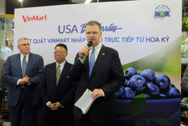 Nhà bán lẻ Việt Nam đầu tiên nhập khẩu trực tiếp quả việt quất tươi từ Mỹ
